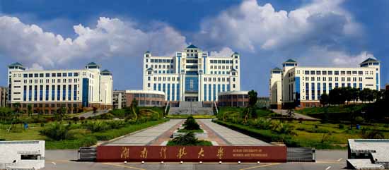 来利国际w66